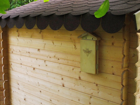 Solitary bee wood house