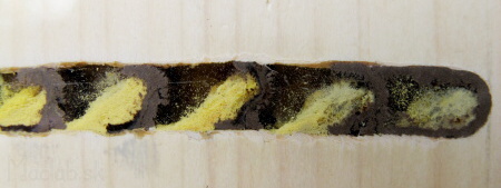 komôrka včely samotárky - murárky