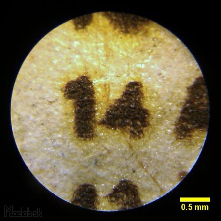 veľkosť písma laserom pod mikroskopom