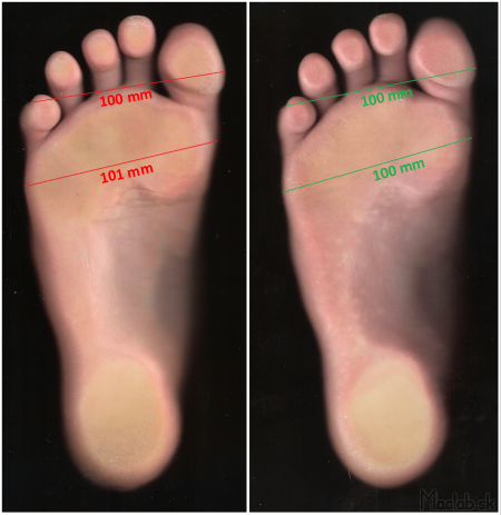 How barefoot shoes affect the size of the foot